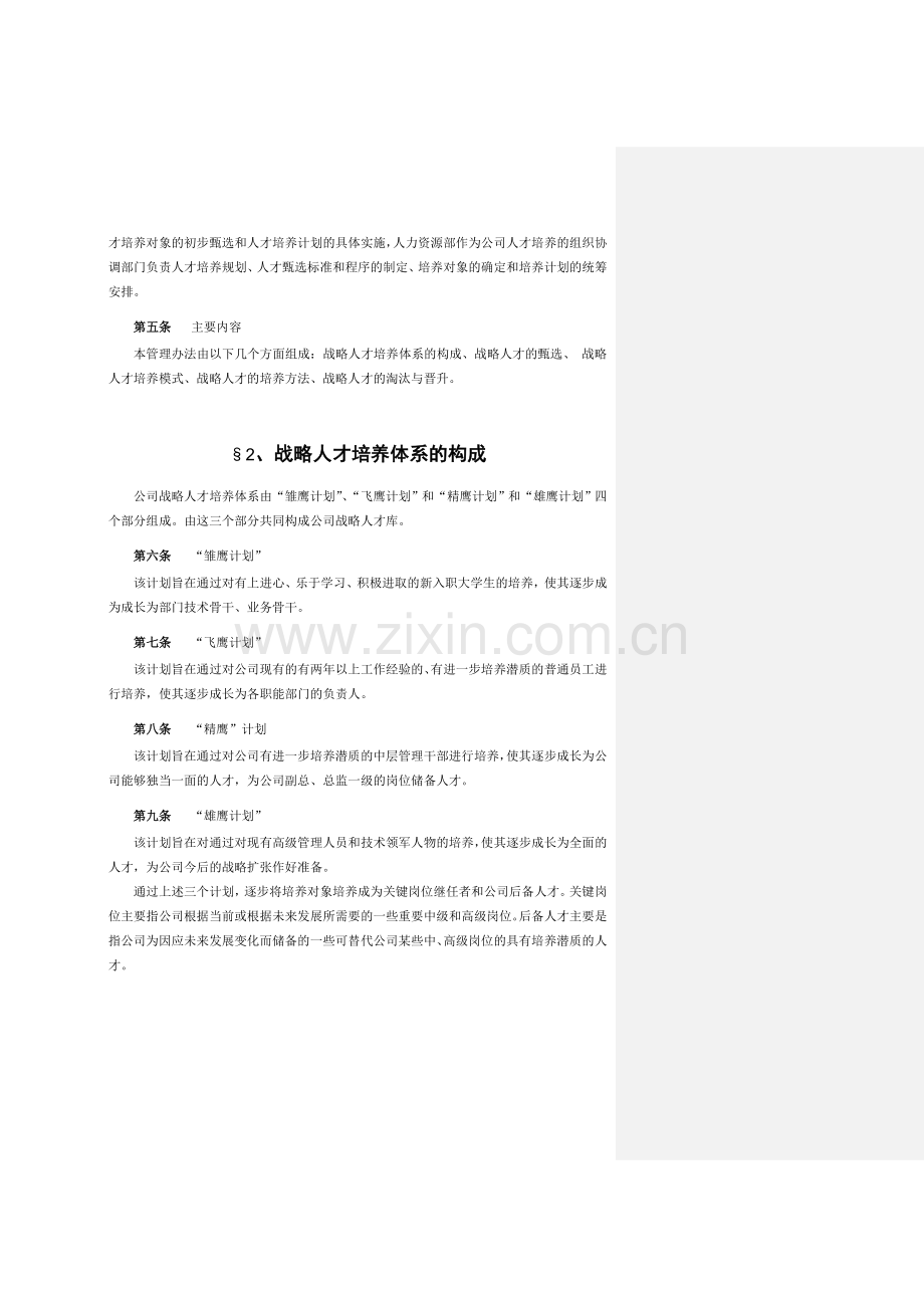 战略人才培养方案.doc_第2页