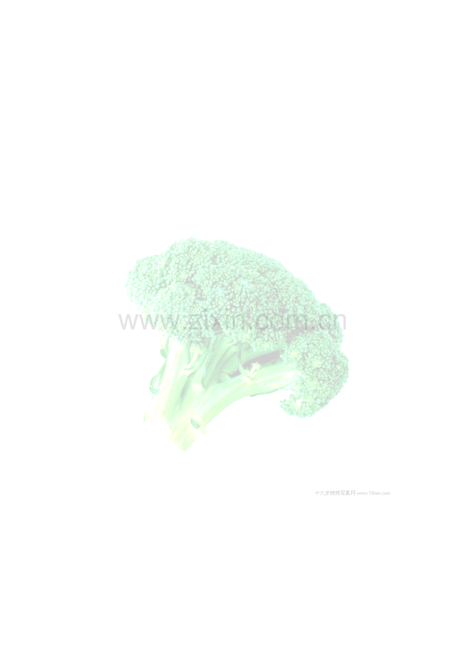 生态化农业种植营销1策划书.doc_第1页