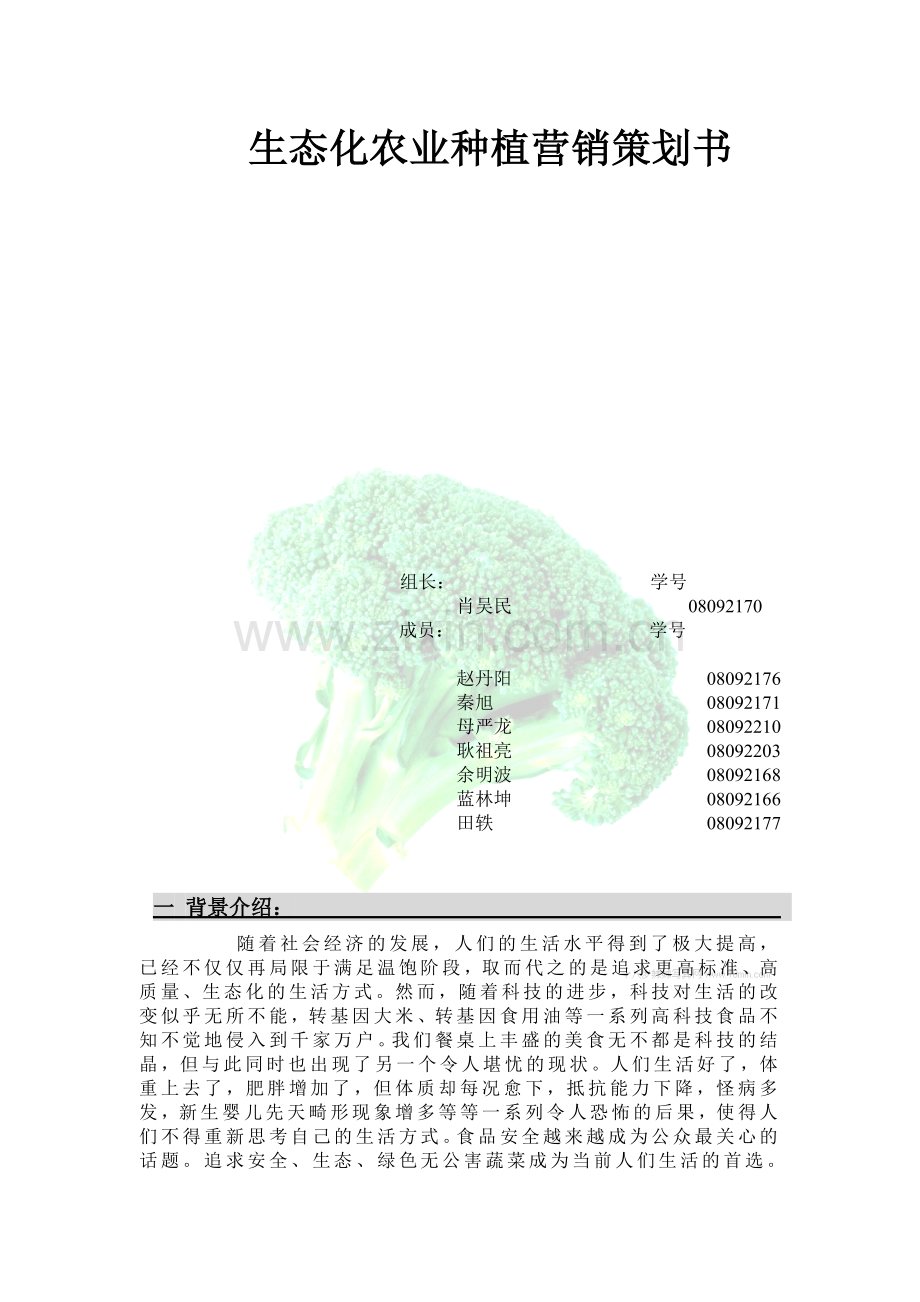 生态化农业种植营销1策划书.doc_第2页