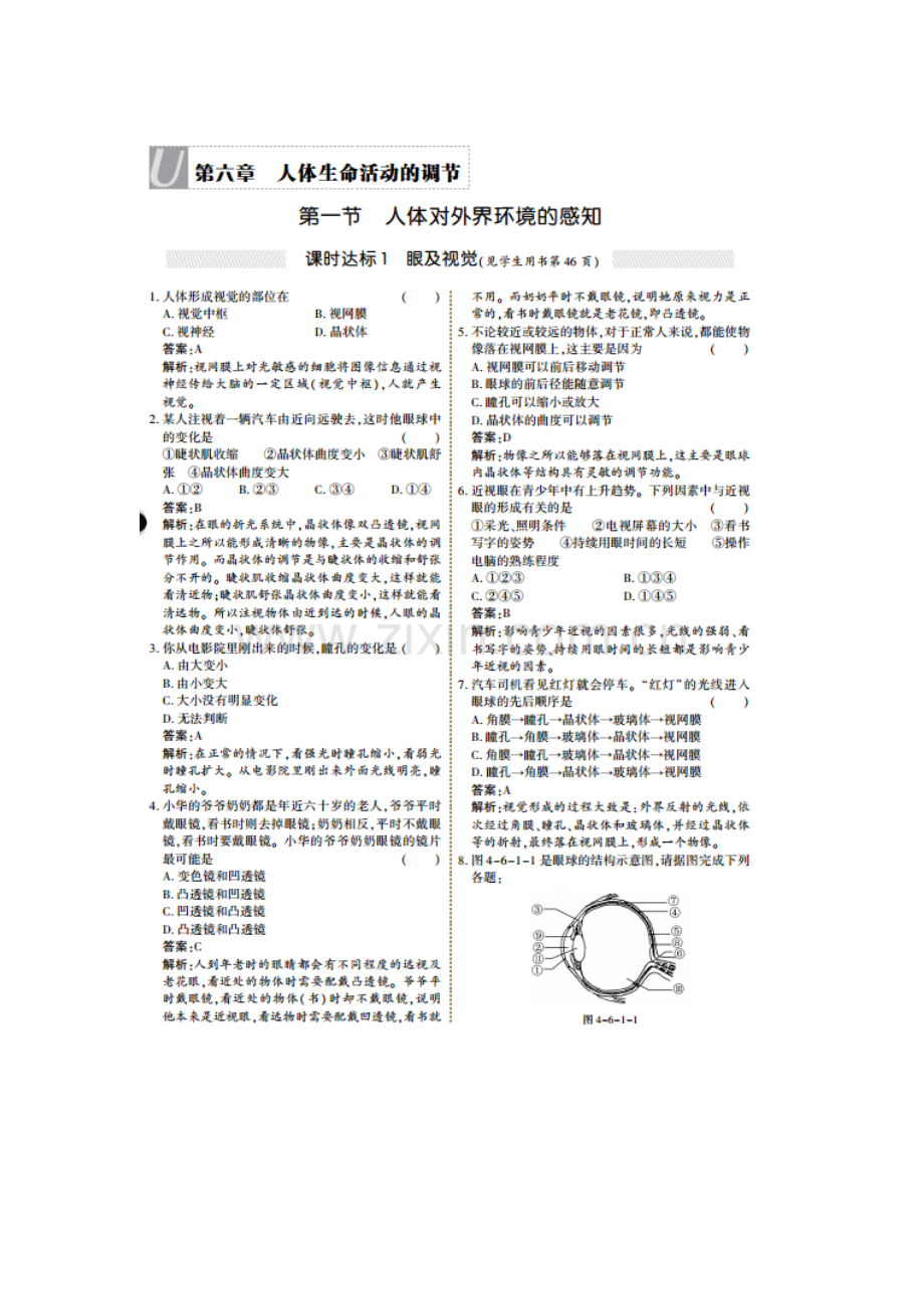七年级生物下册知识点课时训练题1.doc_第1页