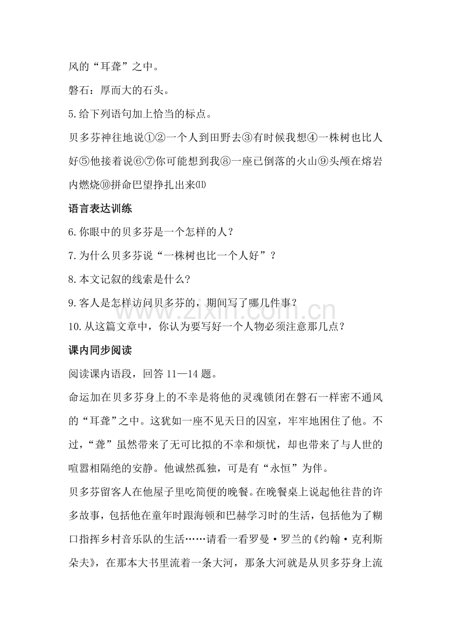 七年级语文音乐巨人贝多芬同步学习探究训练.doc_第2页