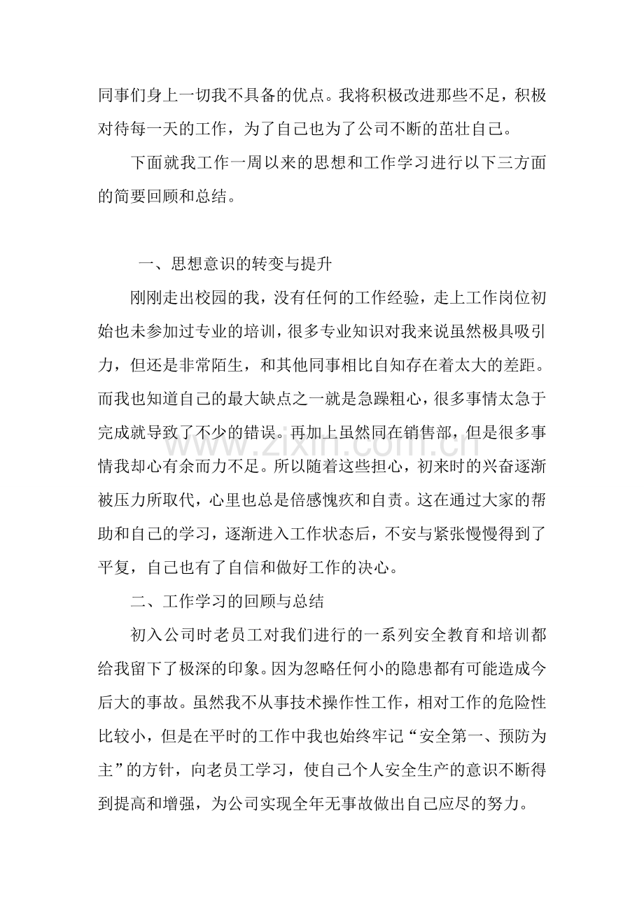 新人周工作总结.doc_第2页