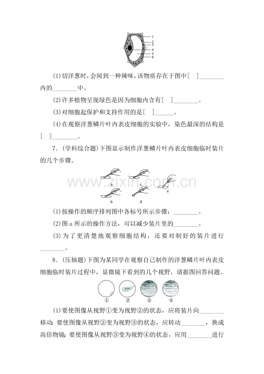 植物细胞课后训练.doc_第2页