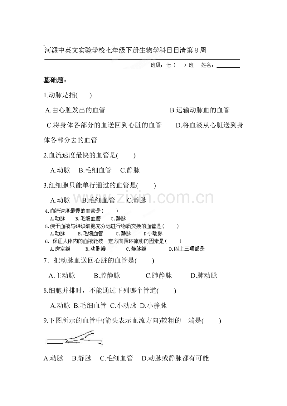 血管练习题.doc_第1页