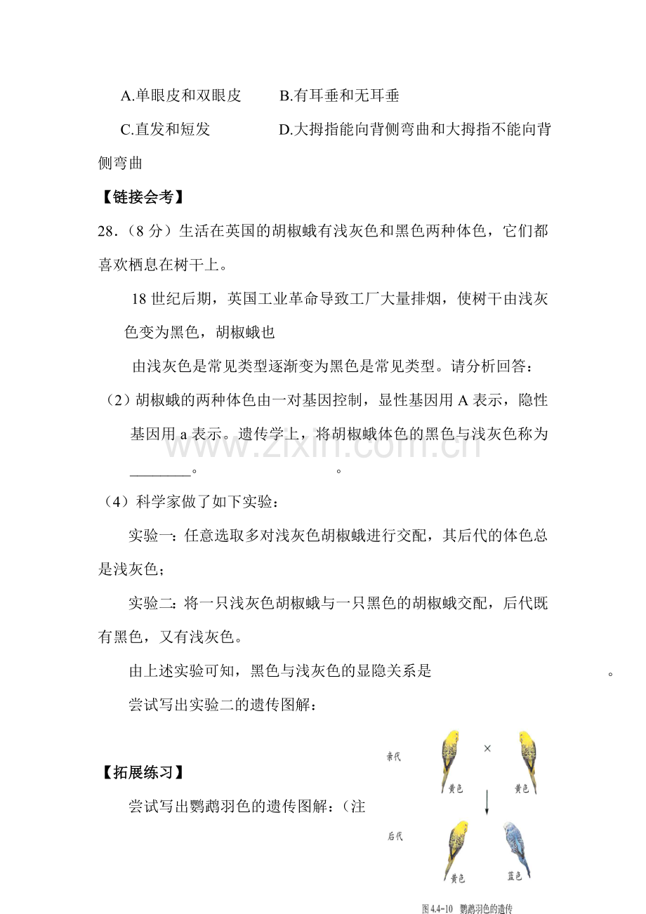 性状的遗传练习1.doc_第2页