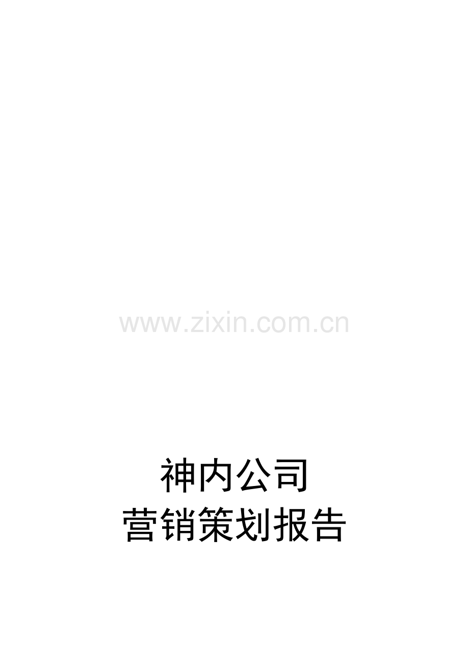 神内公司营销计划书.doc_第1页