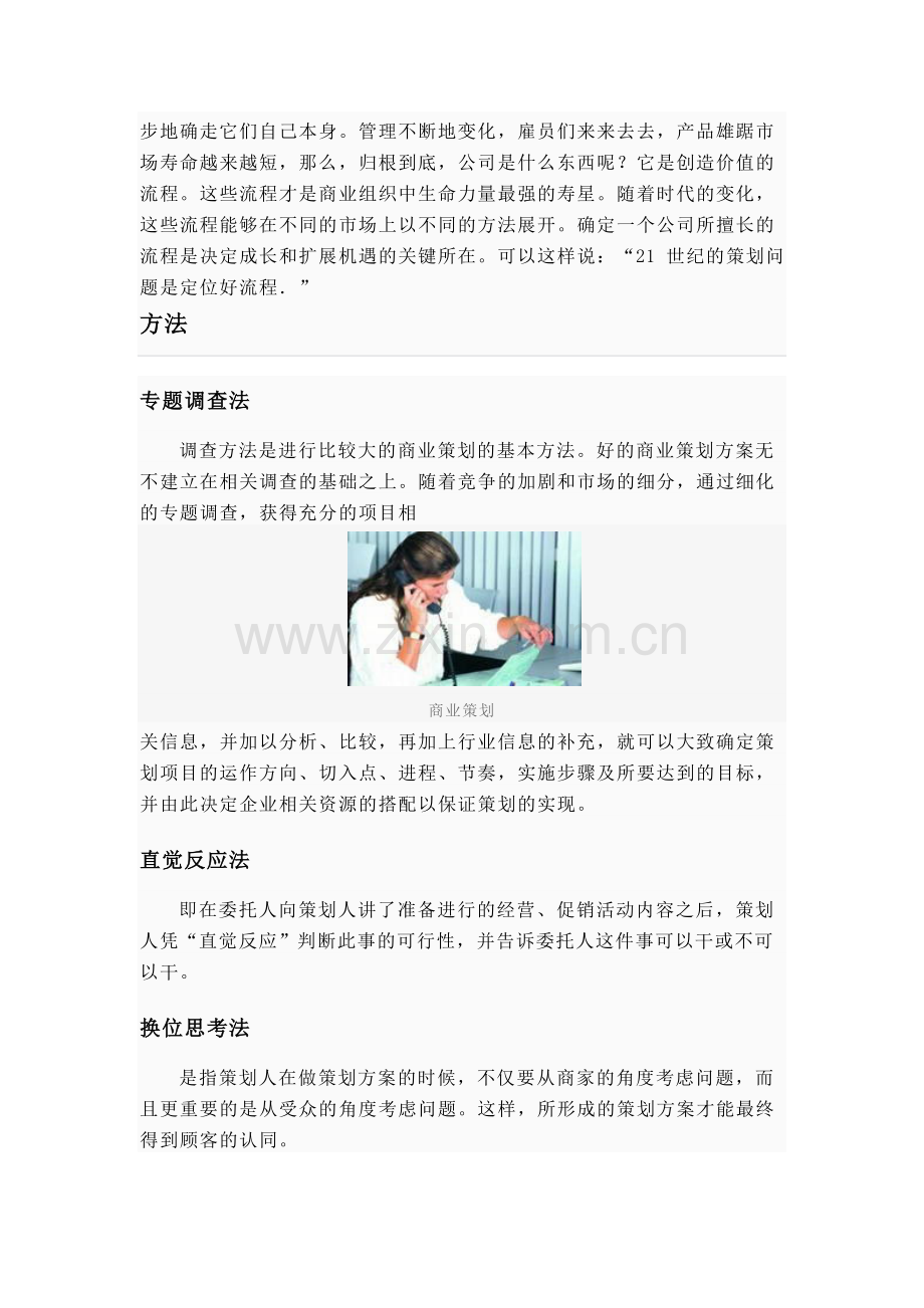 商业策划经典案例.doc_第2页