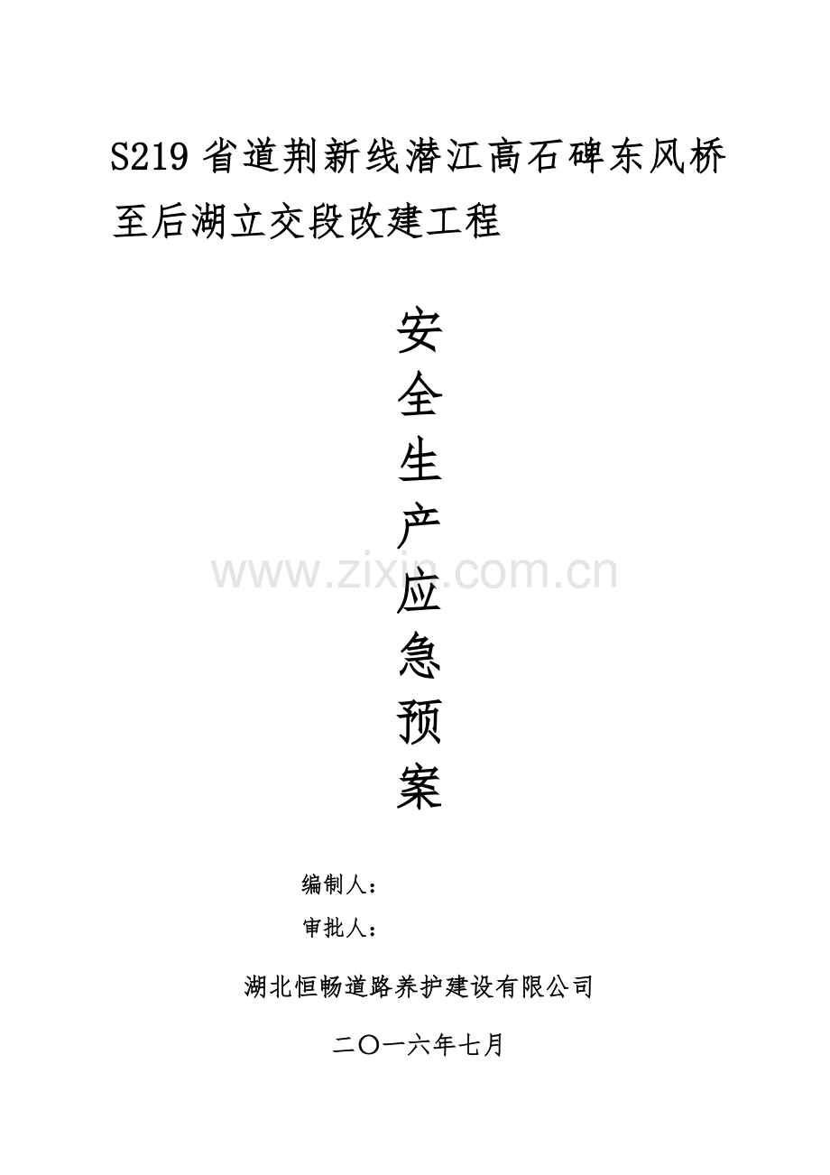 S219安全生产应急救援预案.doc_第1页