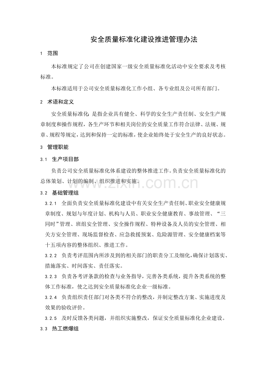 安全质量标准化建设推进管理办法.doc_第1页