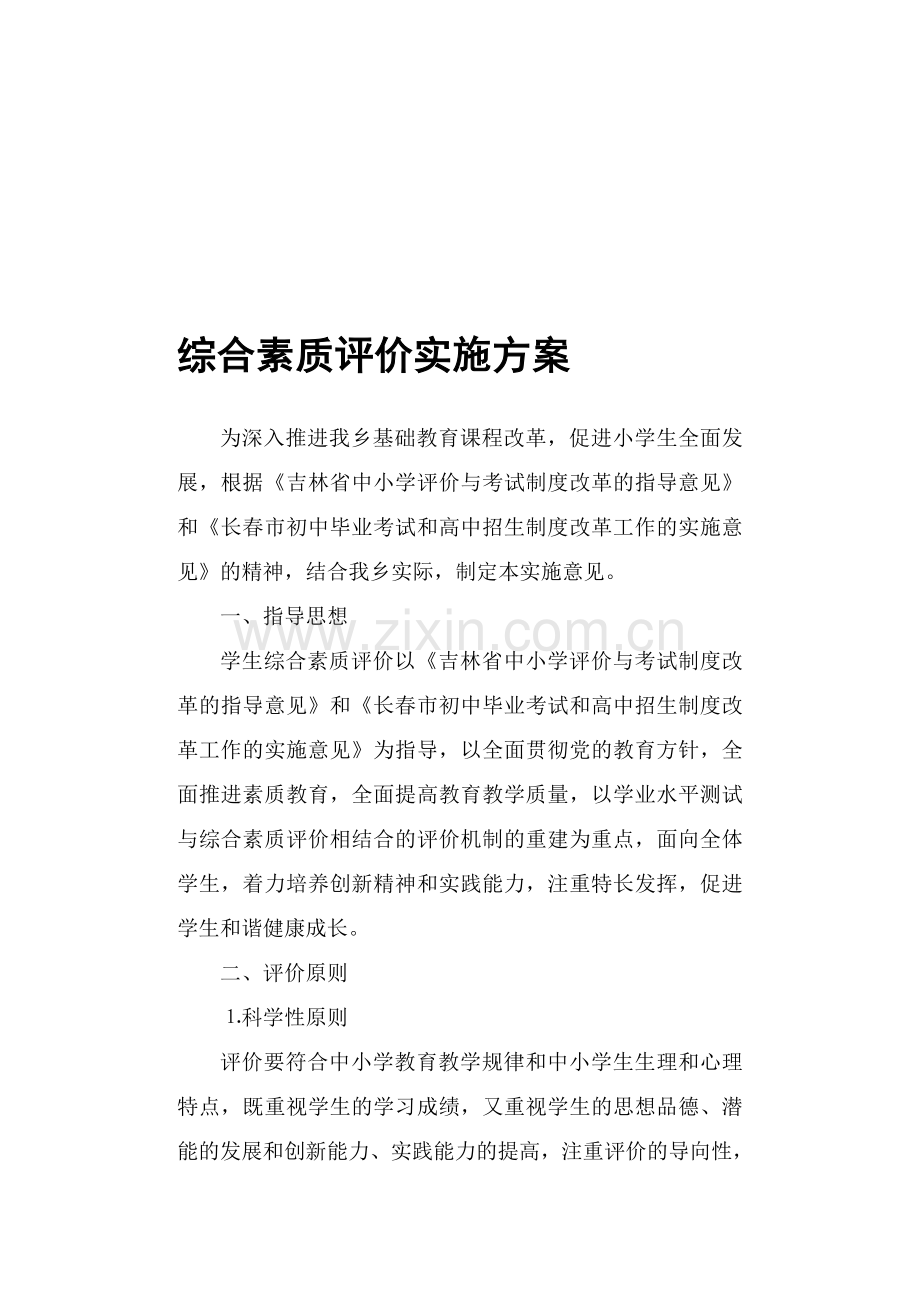 综合素质评价实施意见.doc_第1页