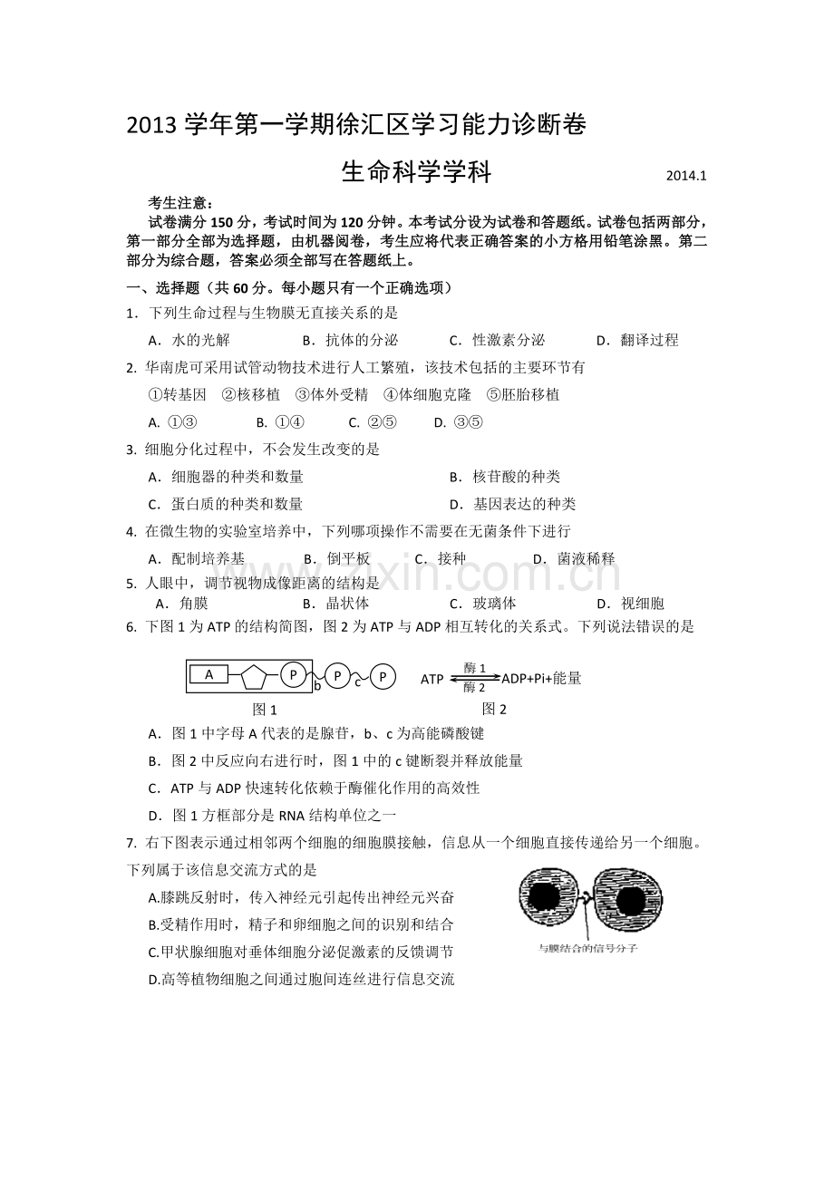 2014上海徐汇区高三生物一模试题(含答案).doc_第1页