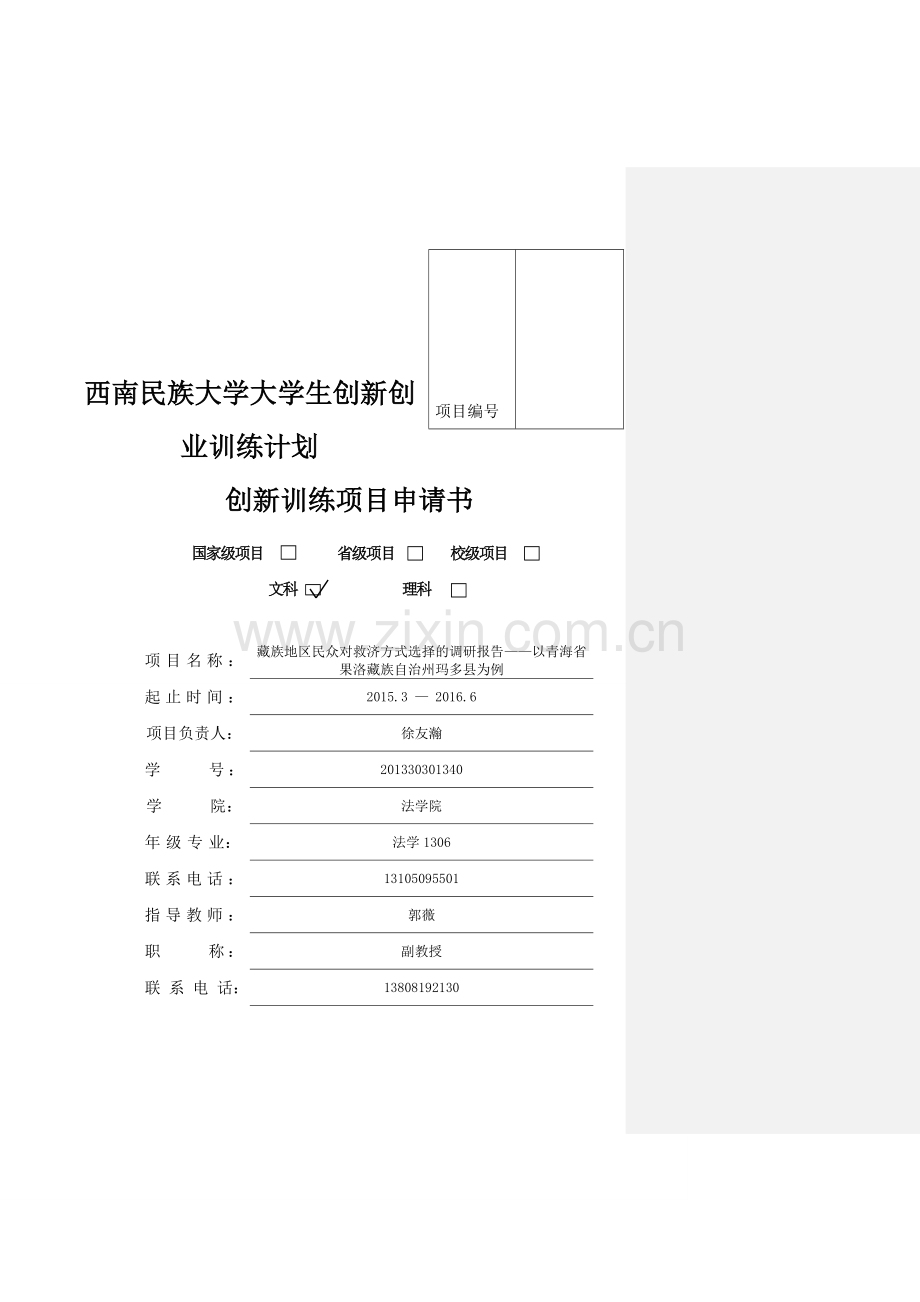 项目申请书.wdc.doc_第2页