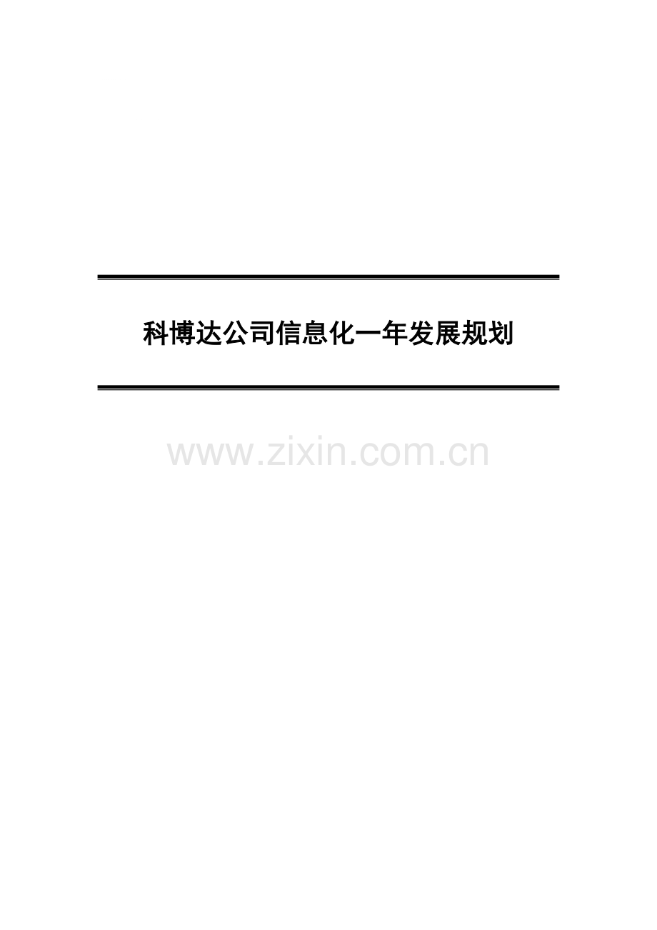 科博达信息化一年规划.doc_第1页