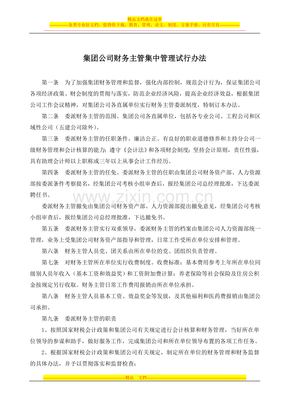 集团公司财务主管集中管理试行办法.doc_第1页