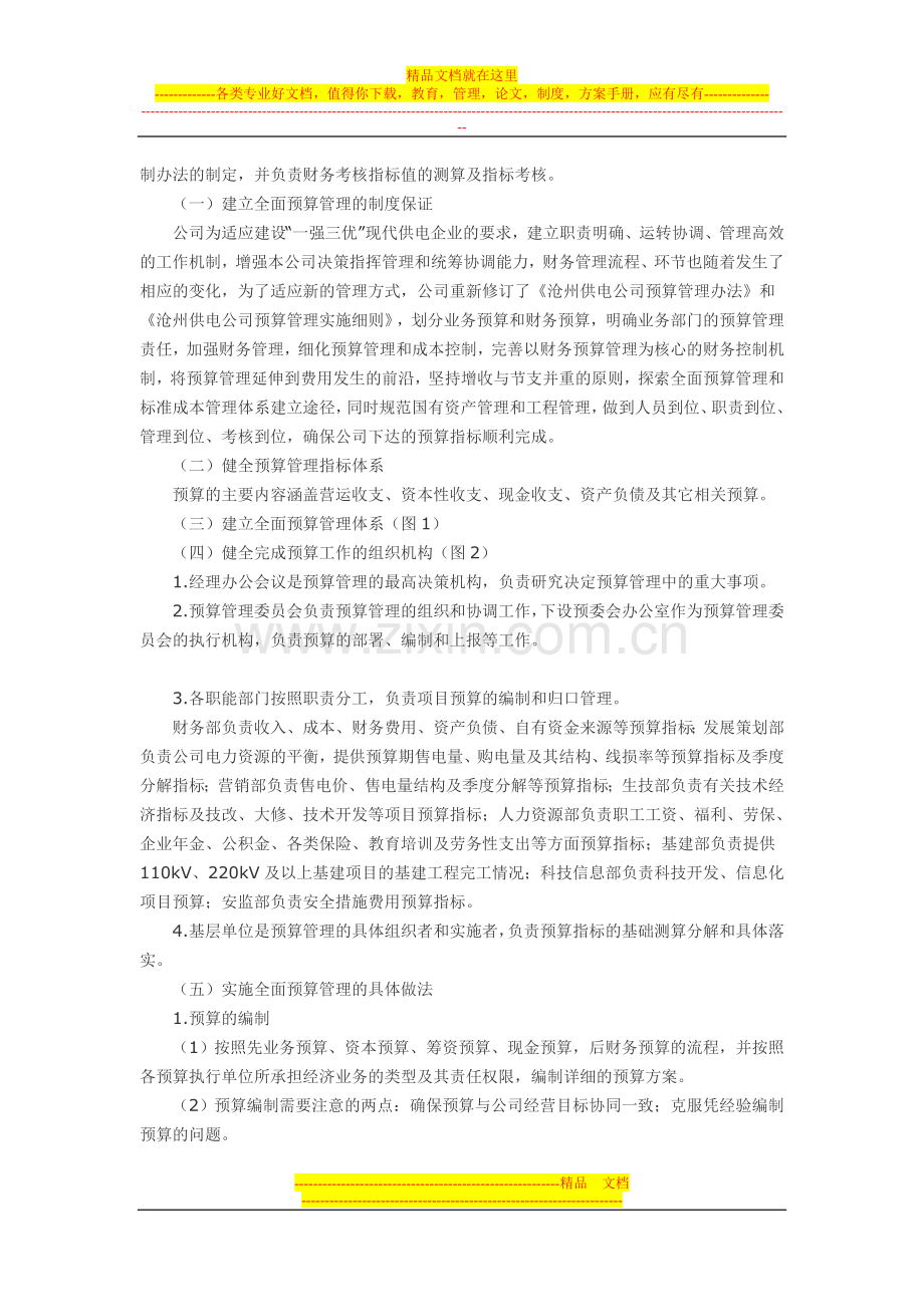 实施全面预算管理-确保预算指标圆满完成.doc_第2页