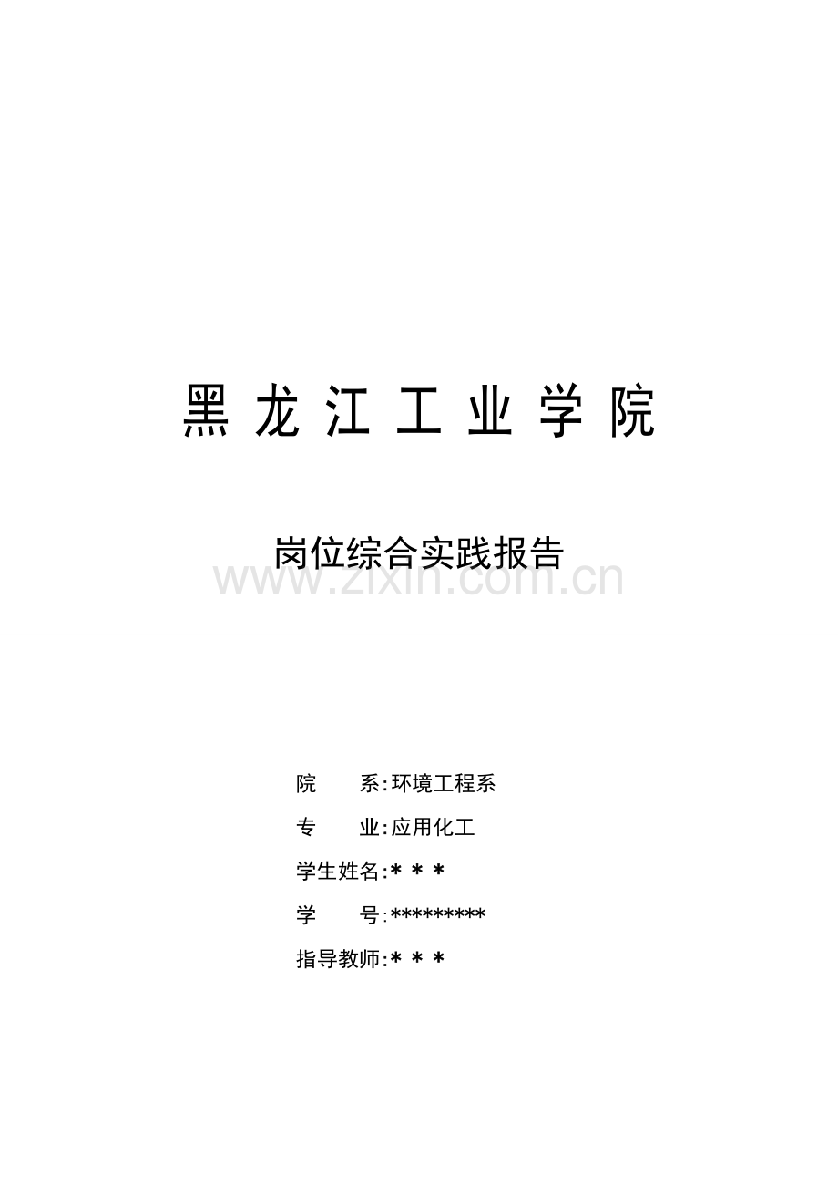 玉米验收岗位综合实践论文.doc_第1页