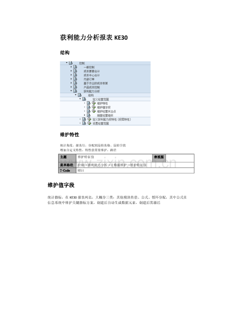 CO获利能力分析报表KE30.docx_第1页