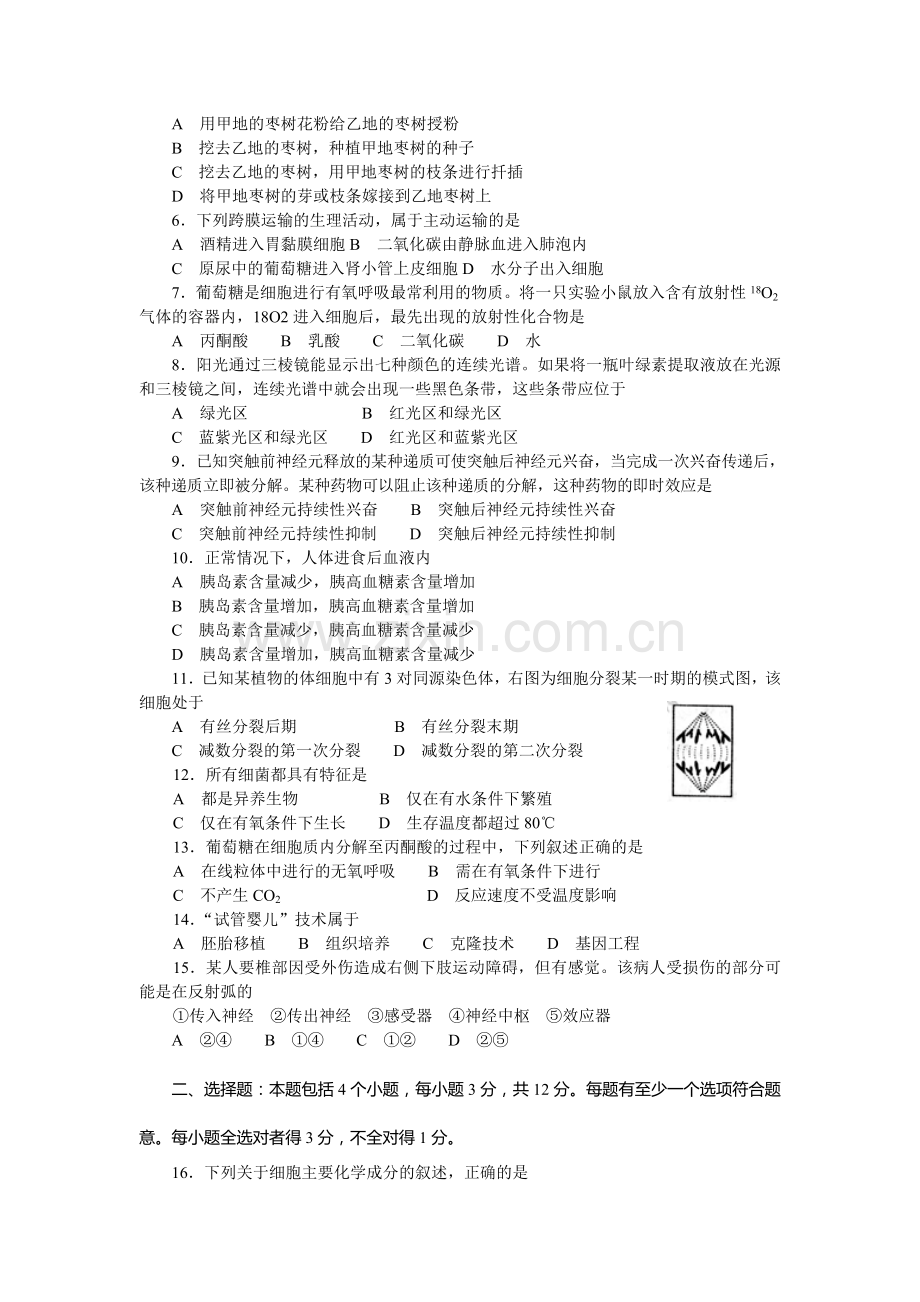 高二生物寒假综合测试(一).doc_第2页