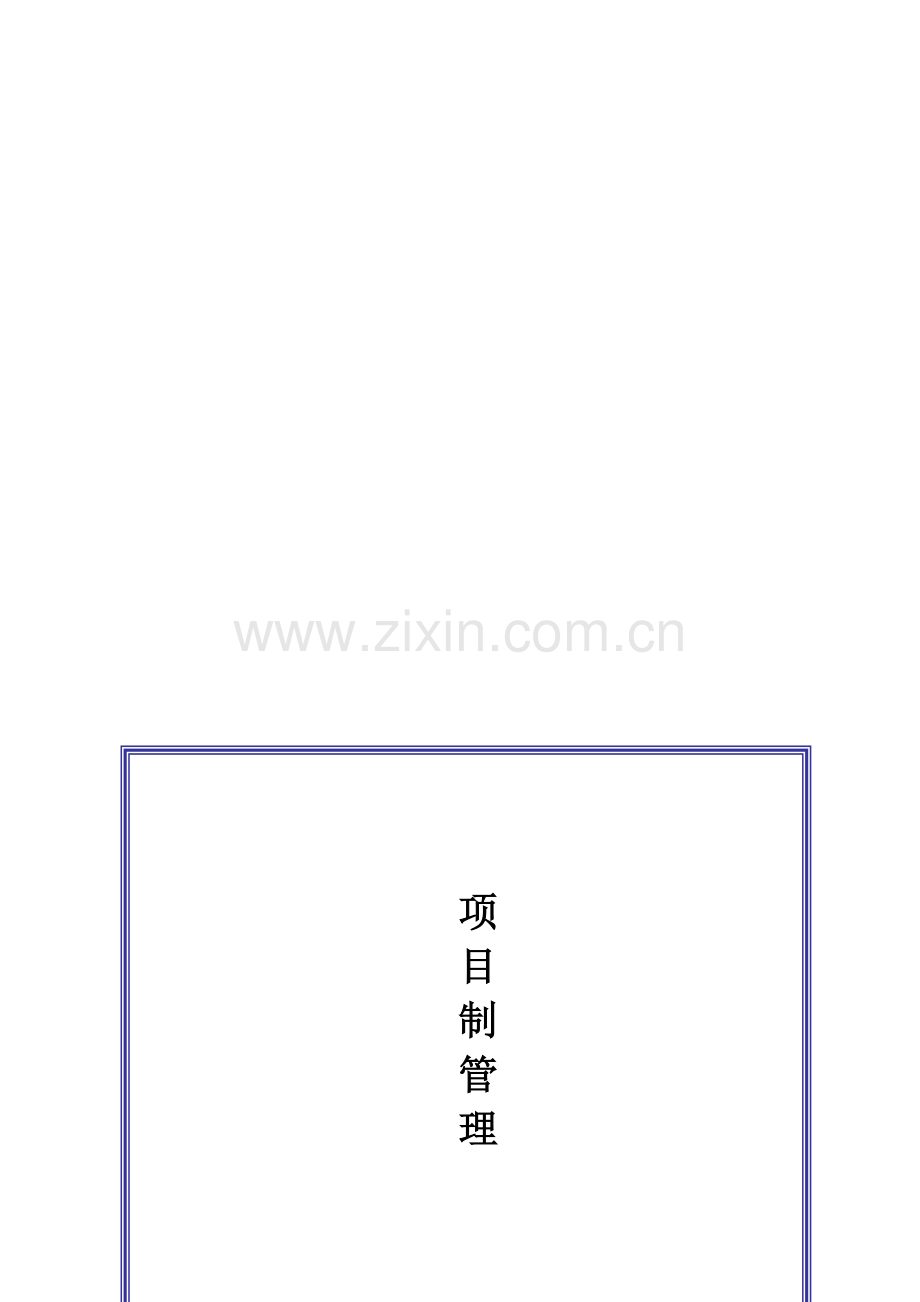 项目制实施方案.doc_第2页
