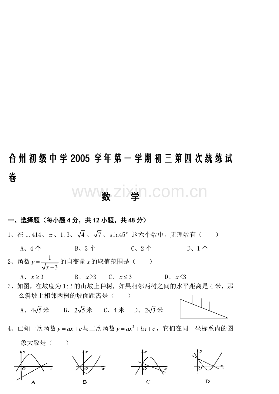 台州初级中学2005学年第一学期初三第四次统练试卷.doc_第1页