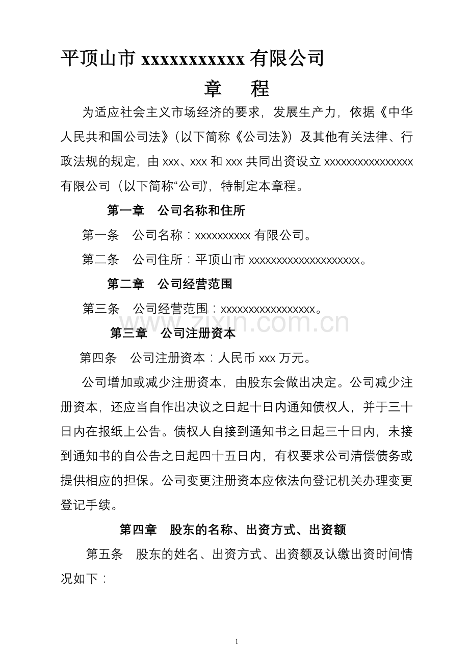 自然人公司章程.doc_第1页
