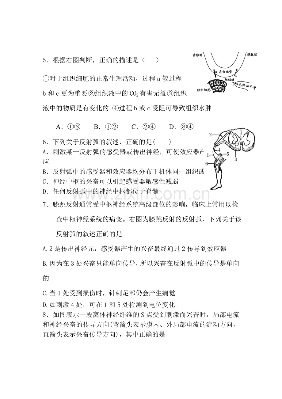 山东省淄博市2015-2016学年高一生物下册4月月考试题.doc_第2页