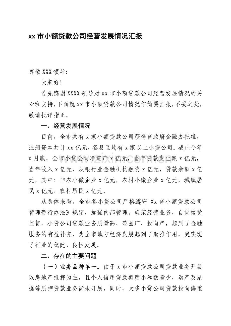 XX市小额贷款公司经营发展情况汇报.doc_第1页