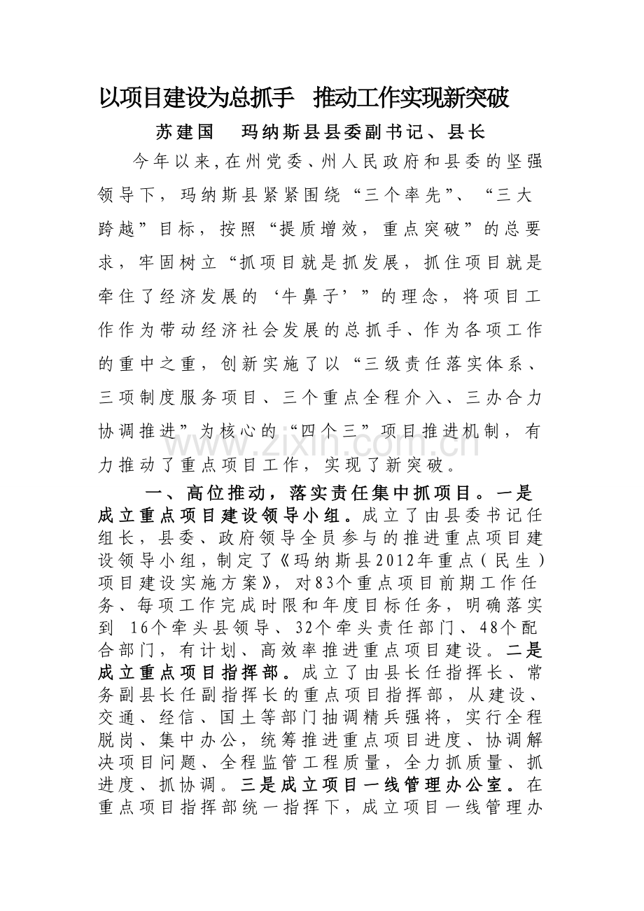 以项目建设为总抓手--推动工作实现新突破.doc_第1页