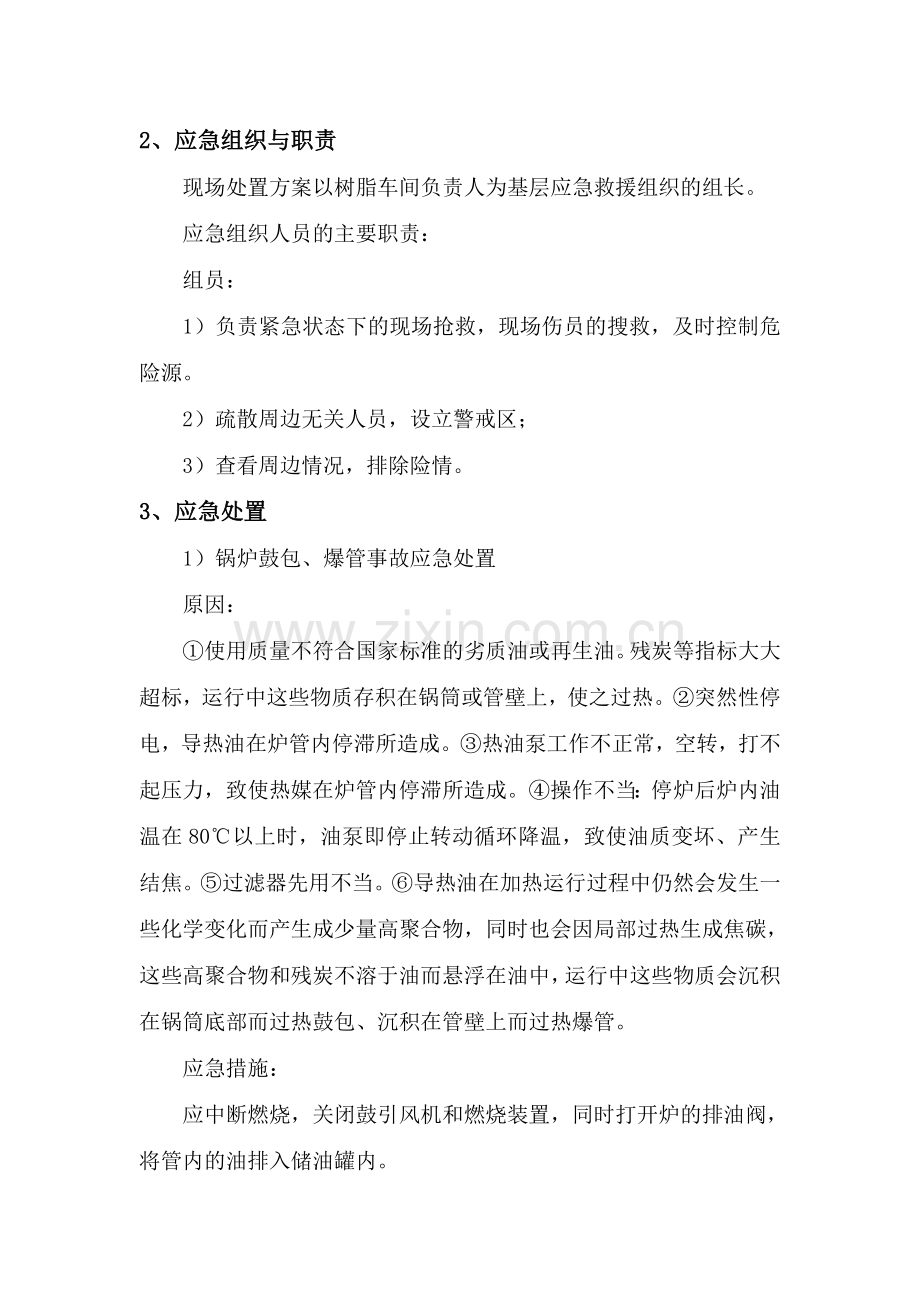 有机热载体炉事故现场处置方案.doc_第2页