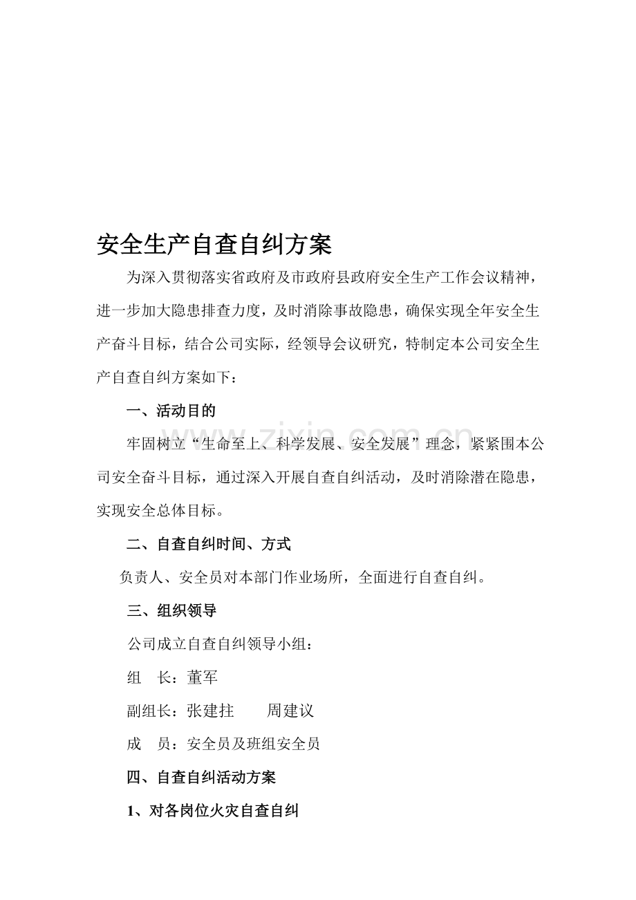 安全生产自查自纠方案(样).doc_第1页