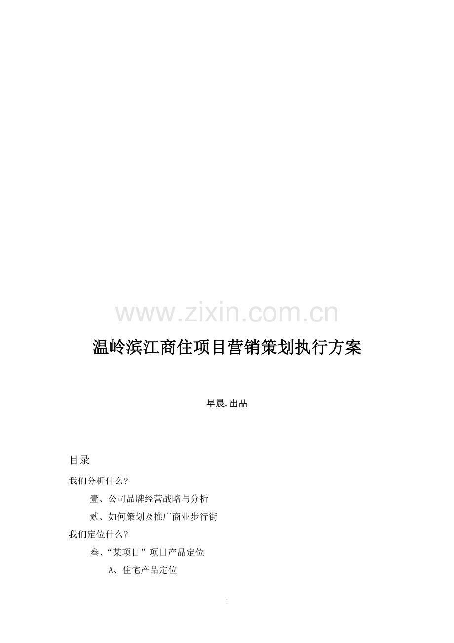 宁波某项目策划执行报告.doc_第1页
