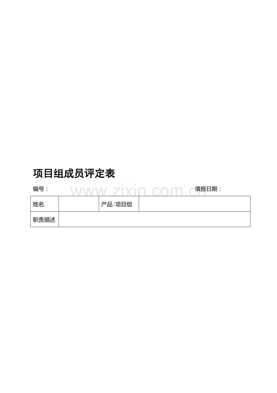 项目组成员考核表..doc_第1页