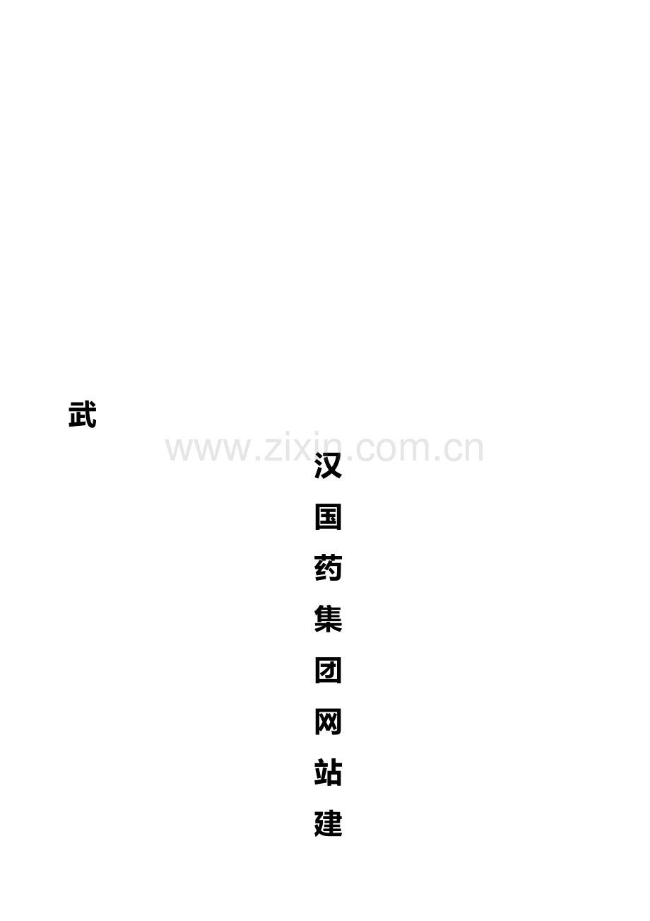 医药网站方案.doc_第1页