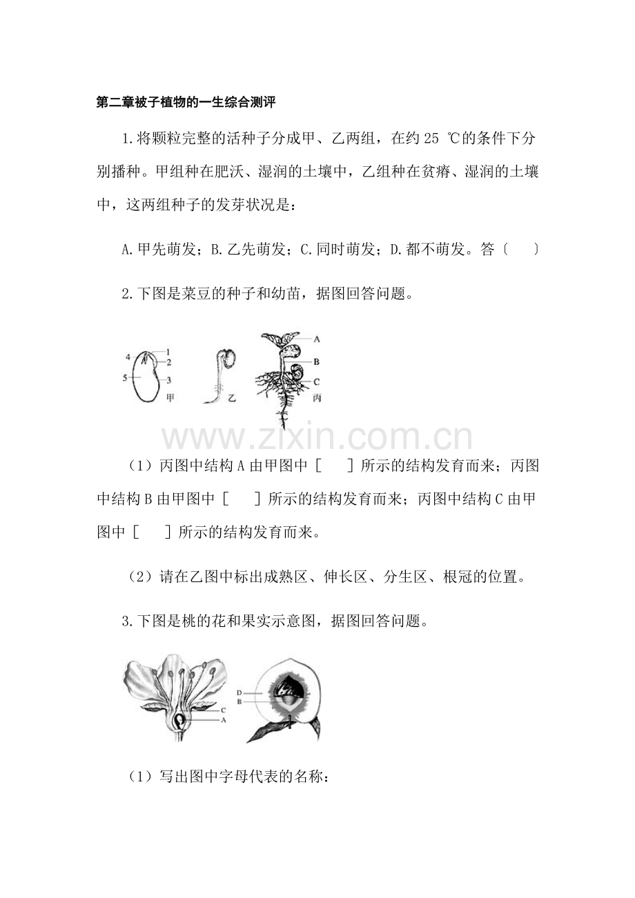 七年级生物被子植物的一生综合测评.doc_第1页