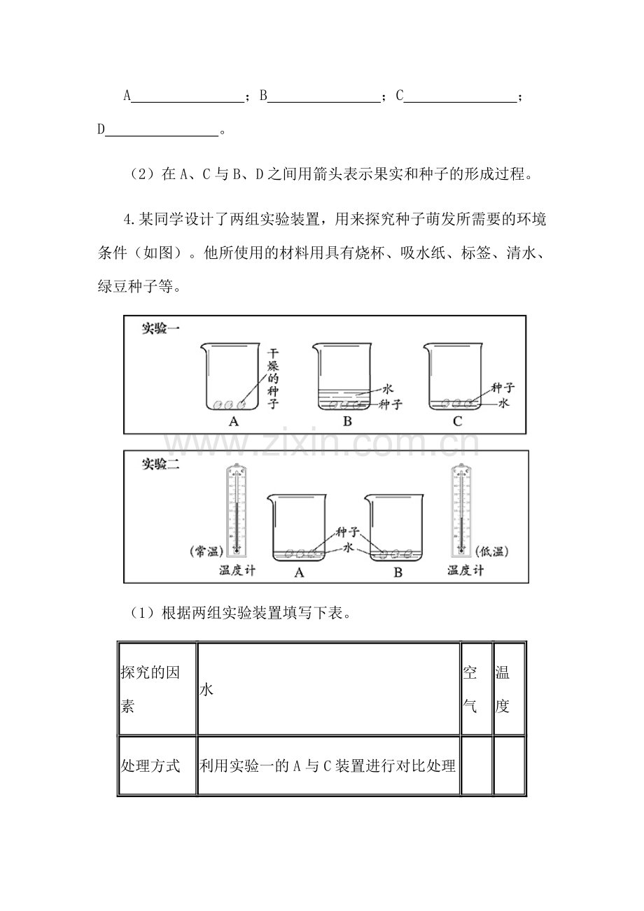 七年级生物被子植物的一生综合测评.doc_第2页