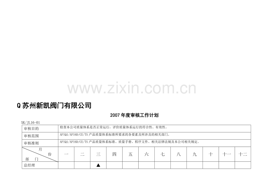 阀门有限公司API-内审记录.doc_第1页