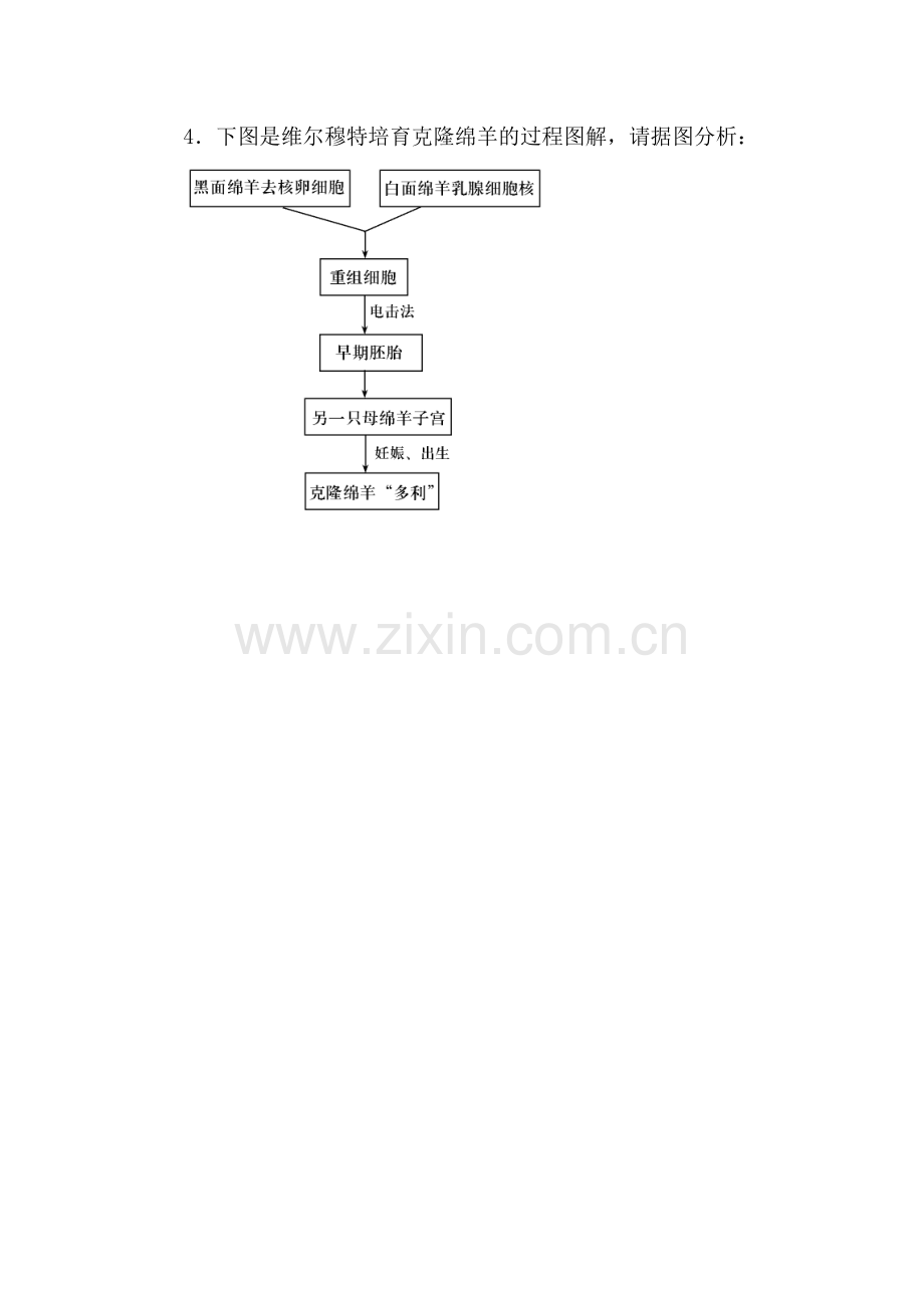 八年级生物克隆技术测试题.doc_第2页