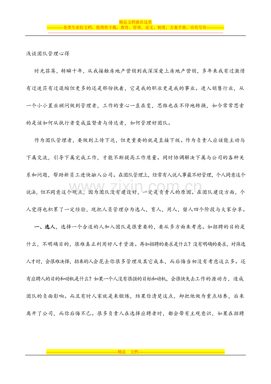 浅谈团队管理心得.docx_第1页