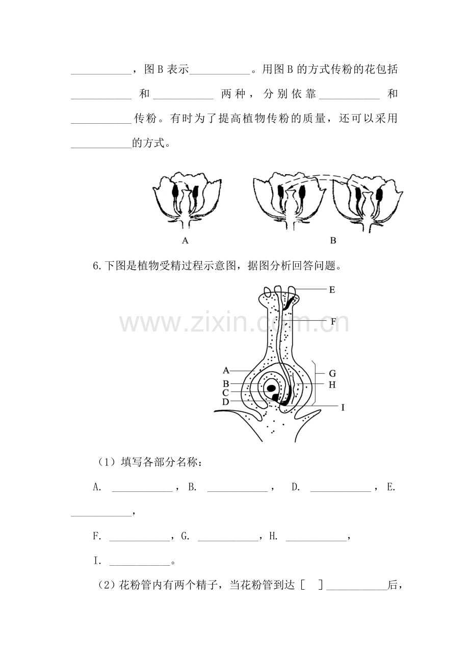 八年级生物传粉和受精检测题2.doc_第2页