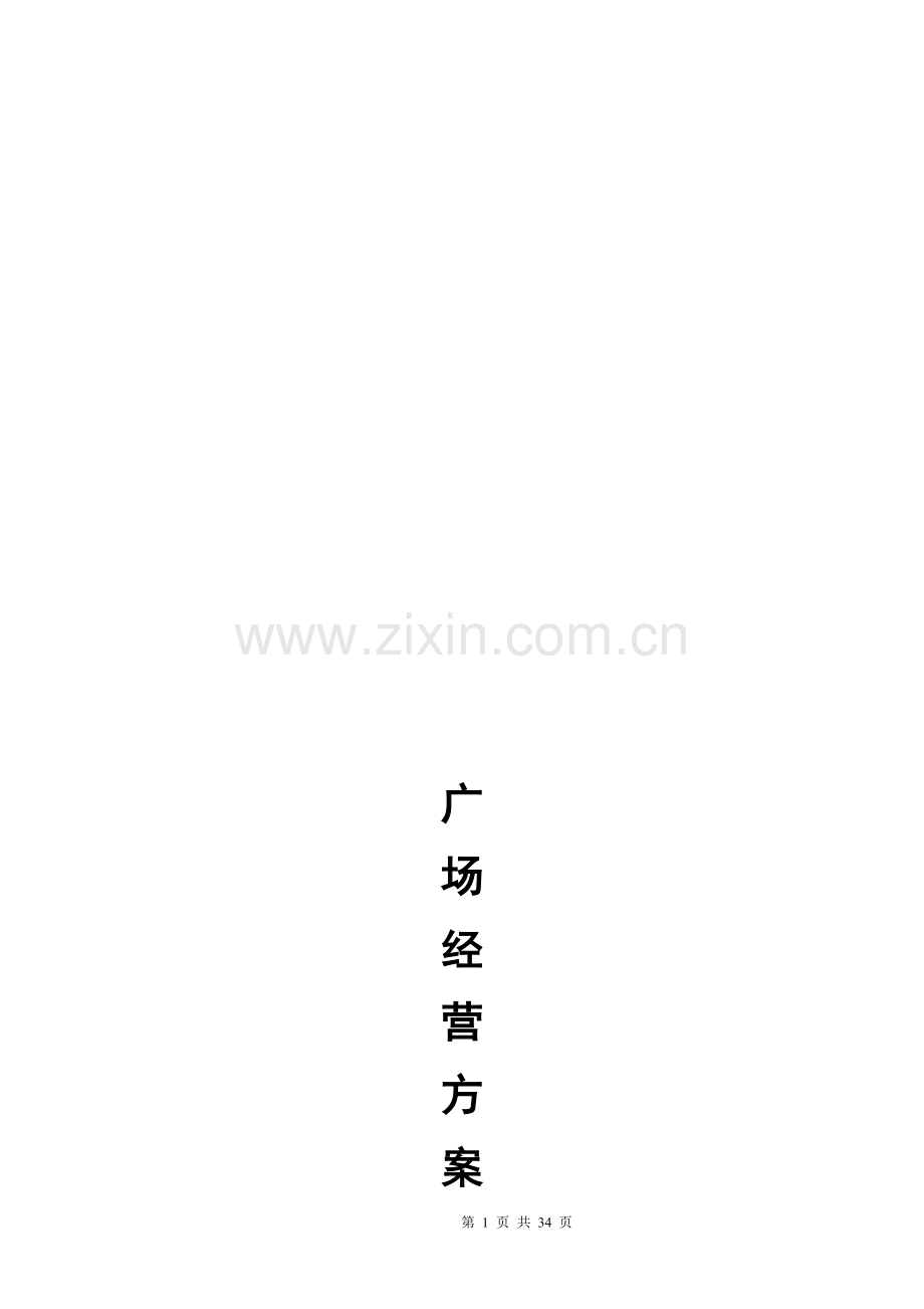 广场整体经营方案.doc_第1页