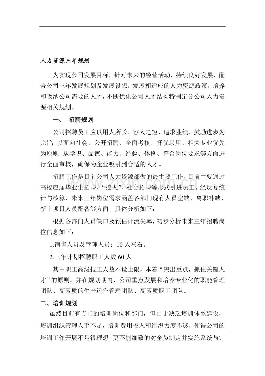 人力资源三年规划.doc_第1页