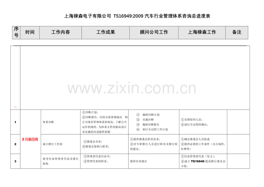 TS详细推行计划方案(中文).doc_第2页
