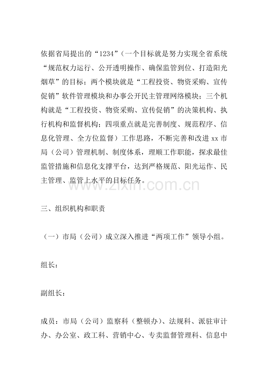 两项工作实施方案.doc_第2页