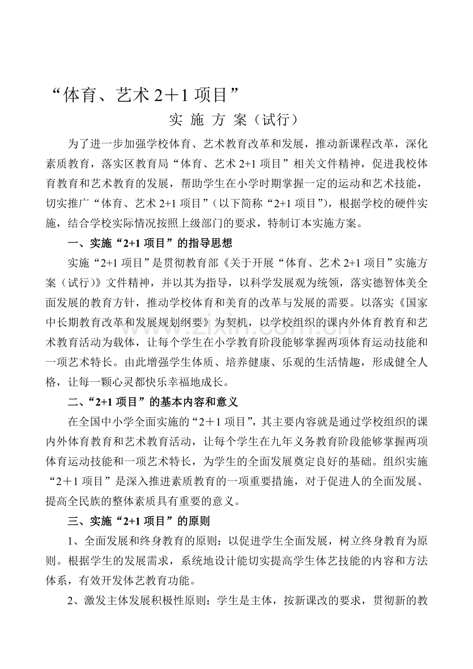 实施2-1项目方案.doc_第1页