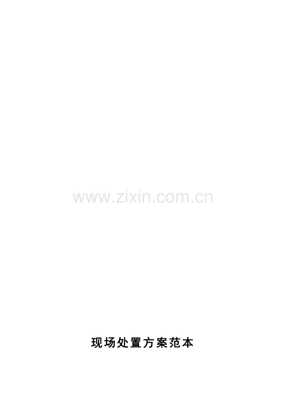 现场处置方案范本.doc_第1页