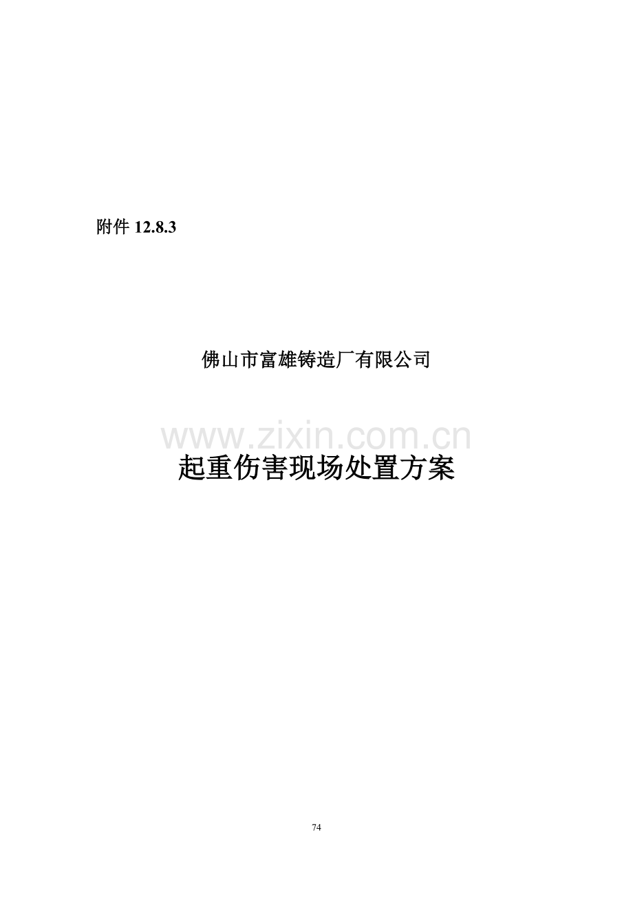 起重伤害现场处置方案.doc_第2页