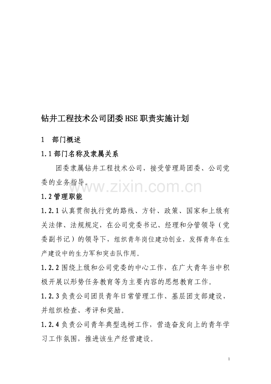 团委HSE职责实施计划.doc_第1页