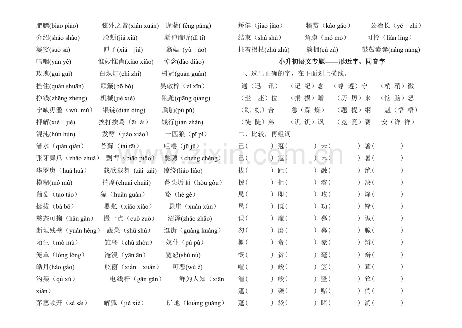 小升初语文基础知识练习.doc_第2页