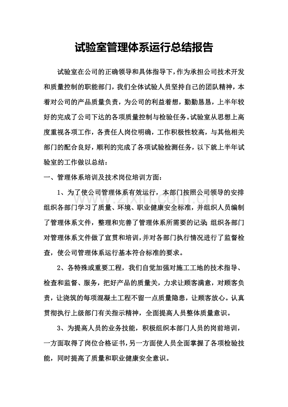 试验室管理体系运行报告.doc_第1页