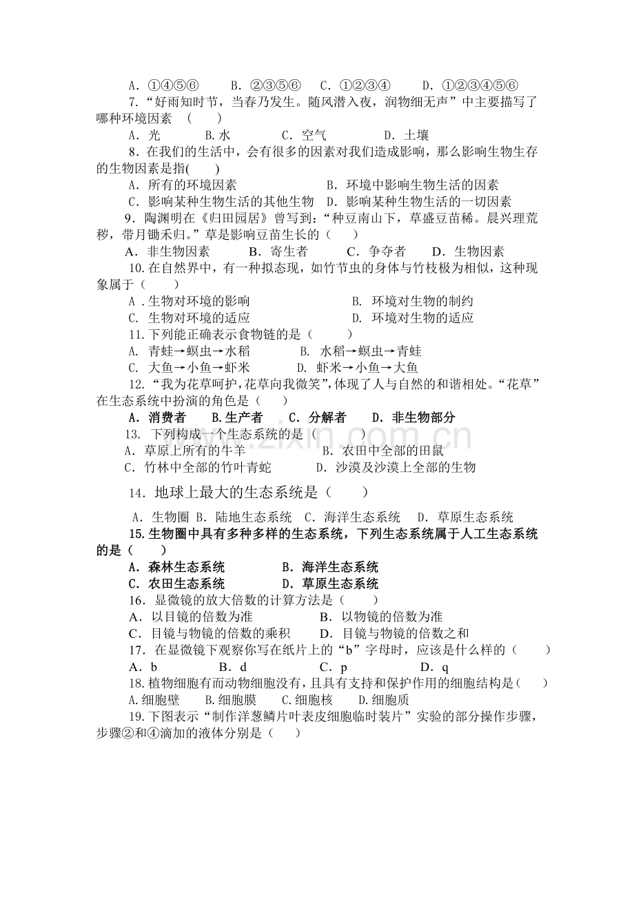 七年级生物上册期中考试题4.doc_第2页